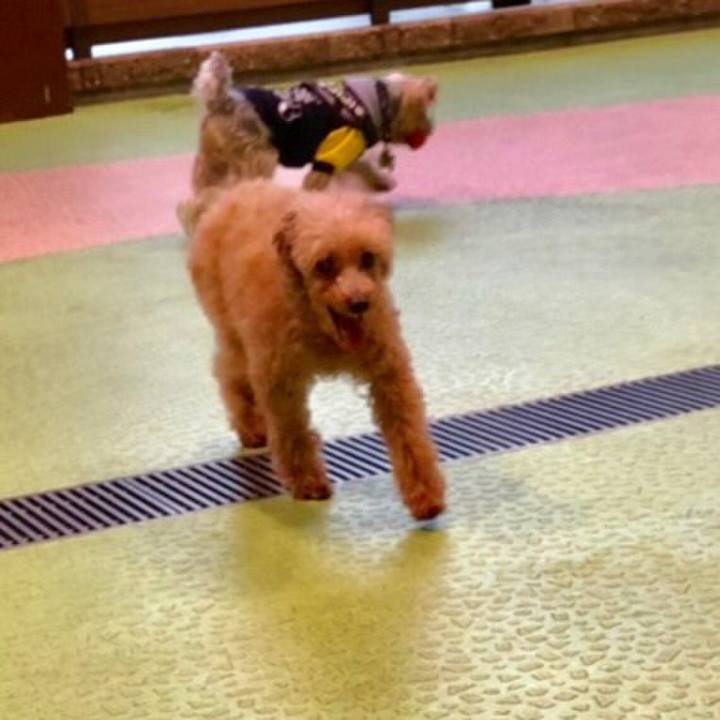 98bb0e99 58fe 4b5c 9df8 318694f185b9 1571413237032