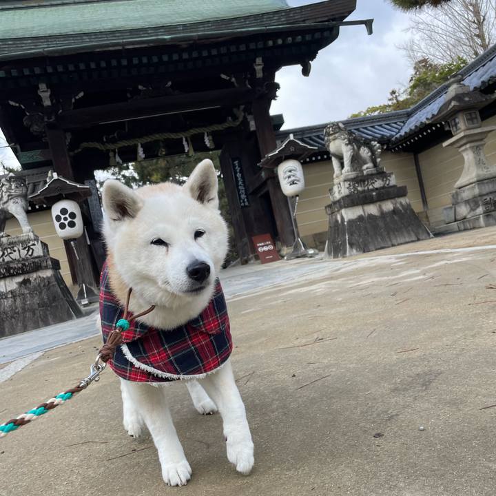 98bb5213 ed84 4639 8481 4f961e019f70 1704702658932