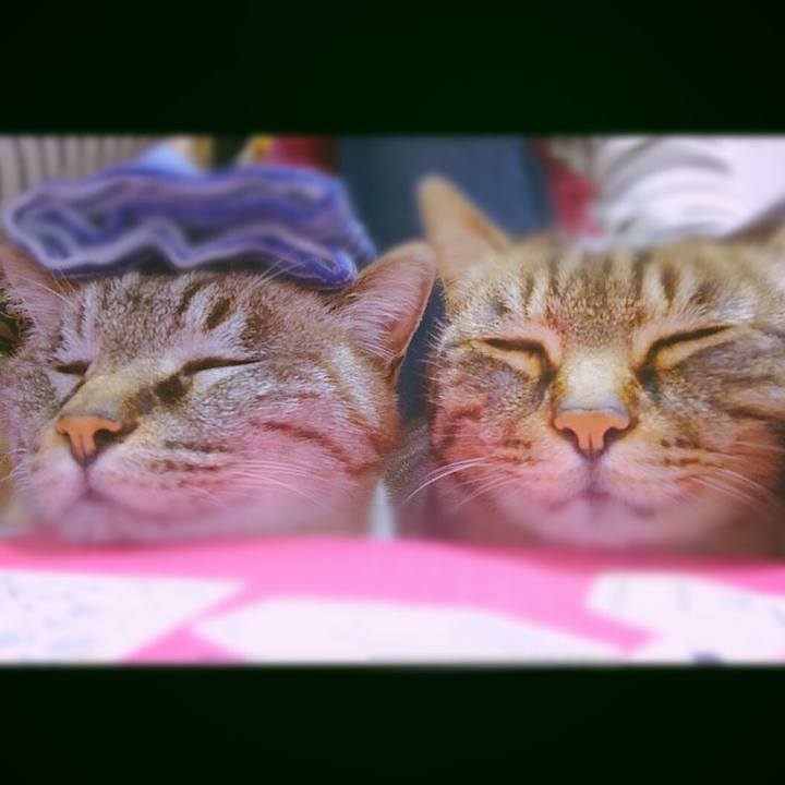 98bb6973 a214 47aa 9569 520401326053 1704537876582