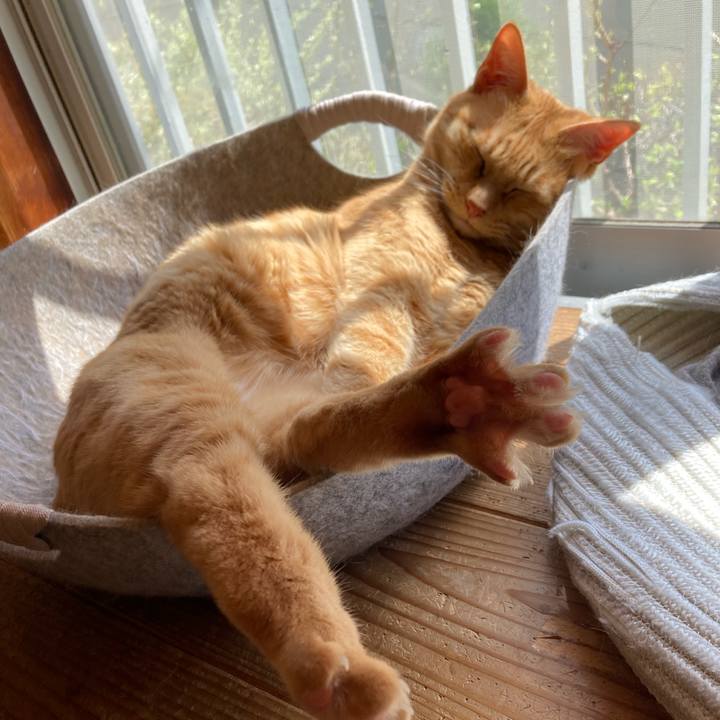 98bb7929 8c83 46f3 8963 e42483f7fb68 1743828263180