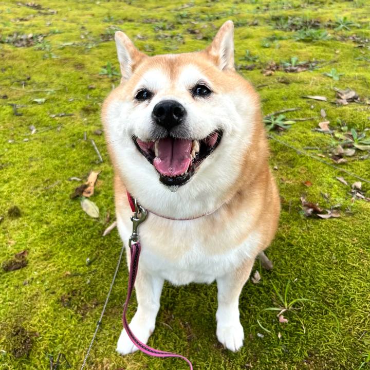 98bbb4e3 41c0 4c8d aa05 d426fb4c18da 1658406633259