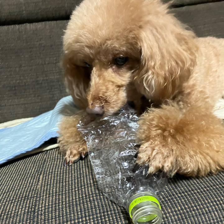 98bbe5f4 c513 46a3 b6ee a2a49b77a418 1656665690930