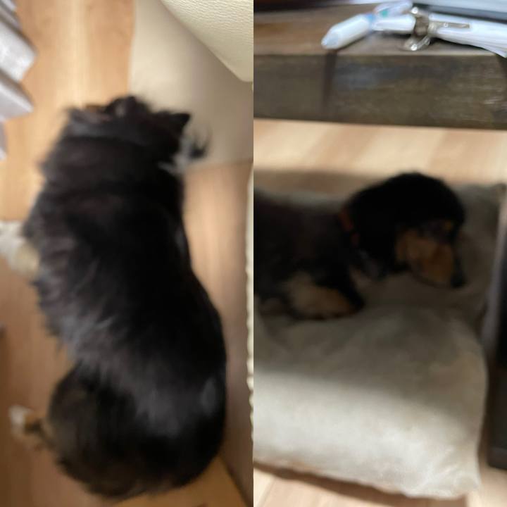 98bbe633 9a76 48a3 a2ed f764ab57a81e 1683636739063