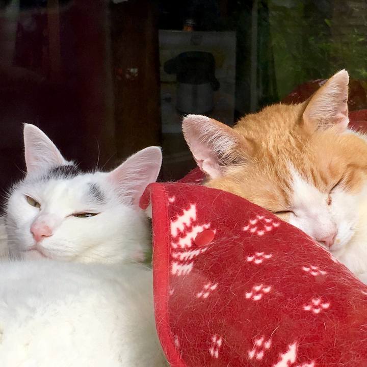 98bbef16 8c37 499a 9ca7 3b4b14853a6e 1565671590564