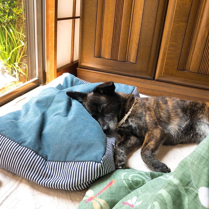 98bc025f 192d 4847 8a0e 09c6d0486607 1588737197224