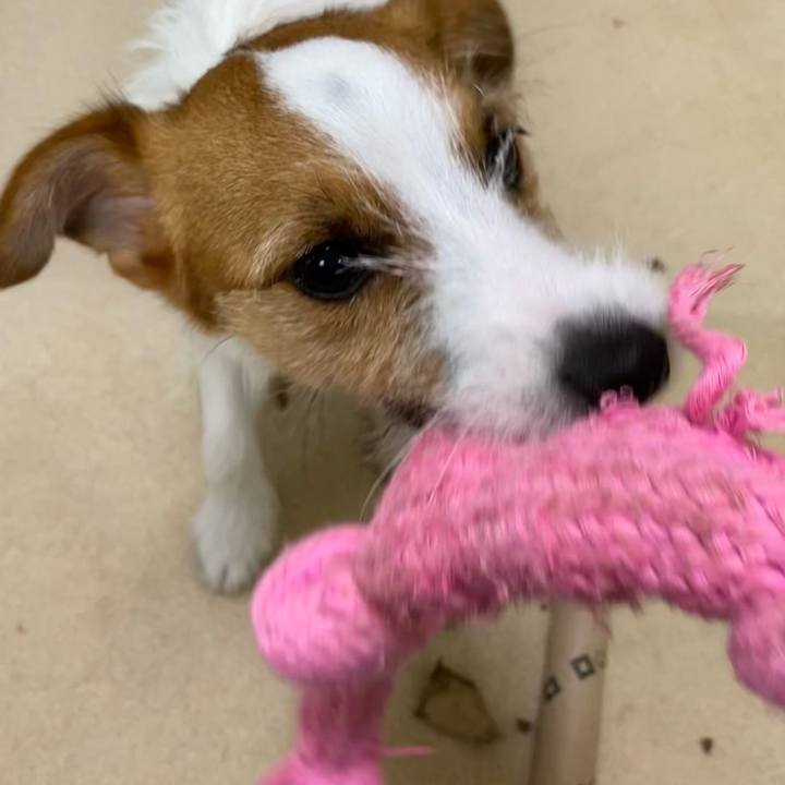 98bc49ef 405e 4689 aac6 b71fcc005002 1626609515771