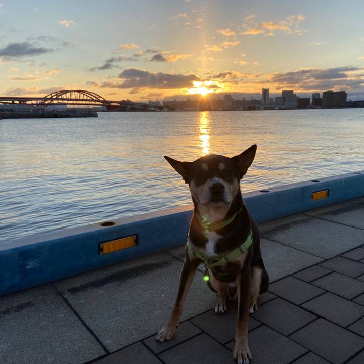 98bc6aa0 f315 464b b307 b53ced1b426c 1640995930332