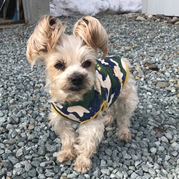 98bcac73 b58e 4b7b aef8 7079da3bd66f 1555148155365