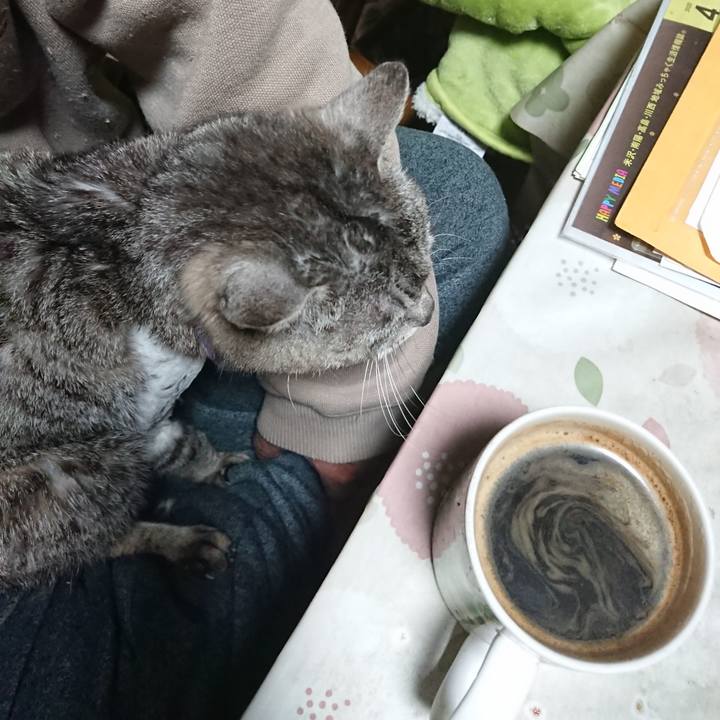 98bcae57 5953 48eb 9a15 55ce1f487ce4 1588362358991