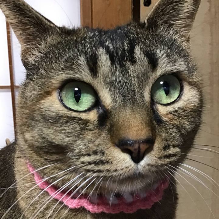 98bcb032 f3ae 42a7 bf3f 138accdd2bcc 1742721409142