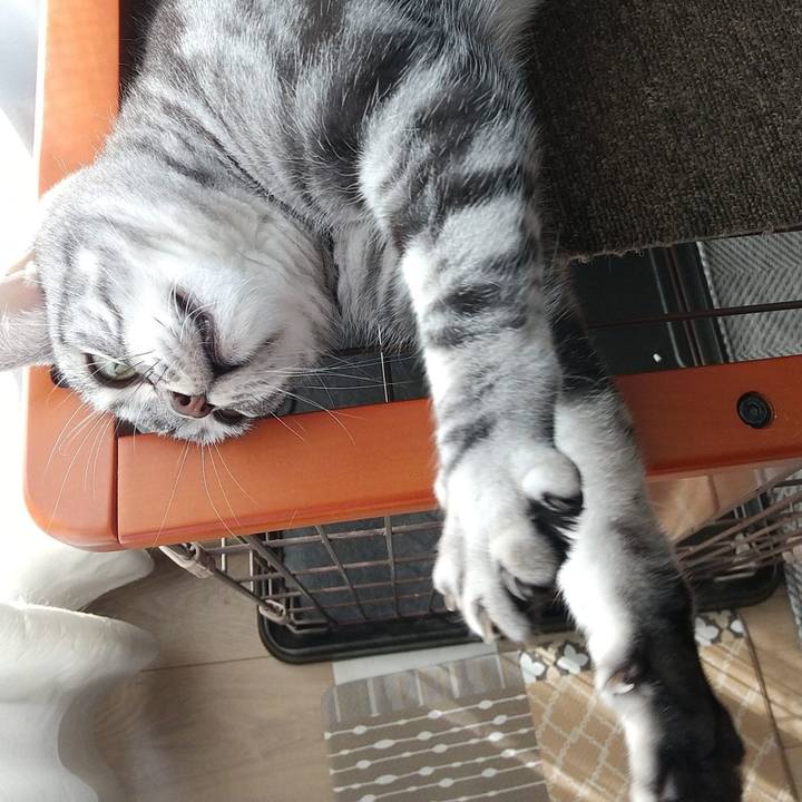 98bcb208 831c 4853 98ef 9224074225ef 1667822051580