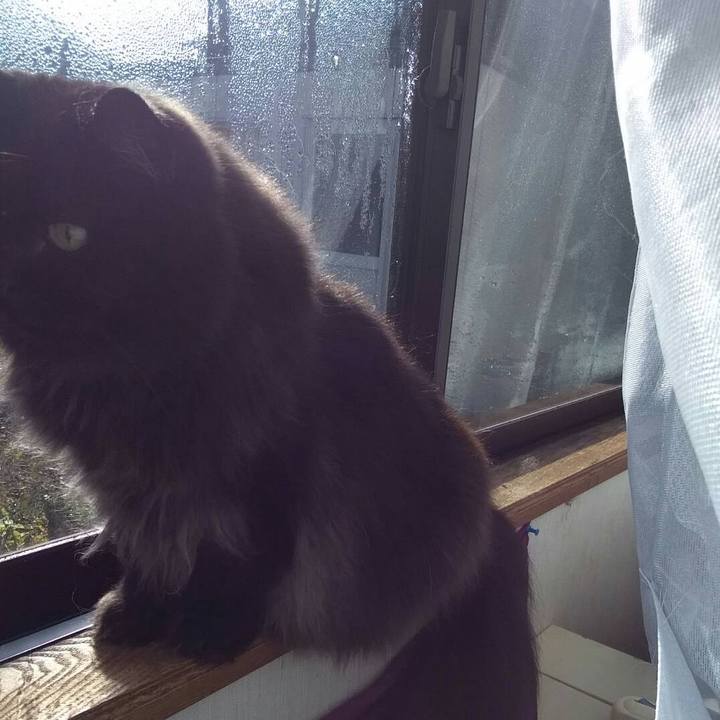 98bcce4d 8651 4fd3 a4f6 386f2f457178 1509497123318