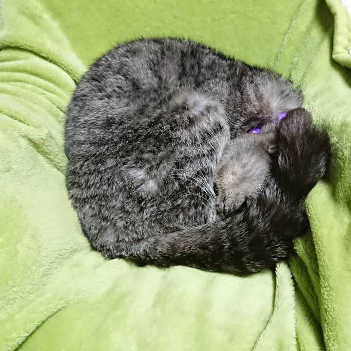 98bcd029 b075 412a a39c 9be1550760e6 1583354230127