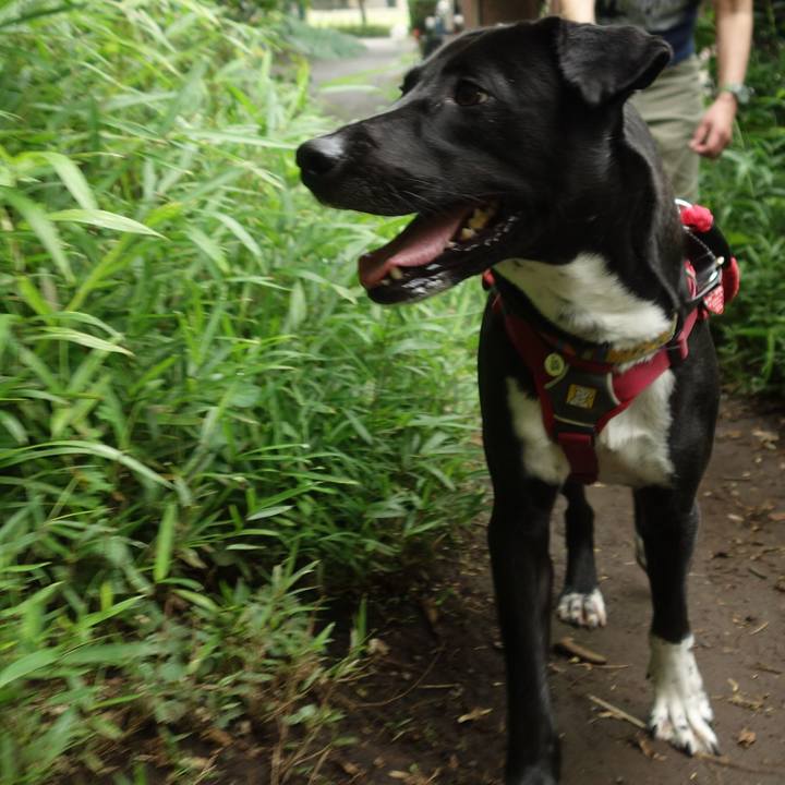 98bcdcd4 c4b0 4cf2 8436 69e671db387e 1593128931885