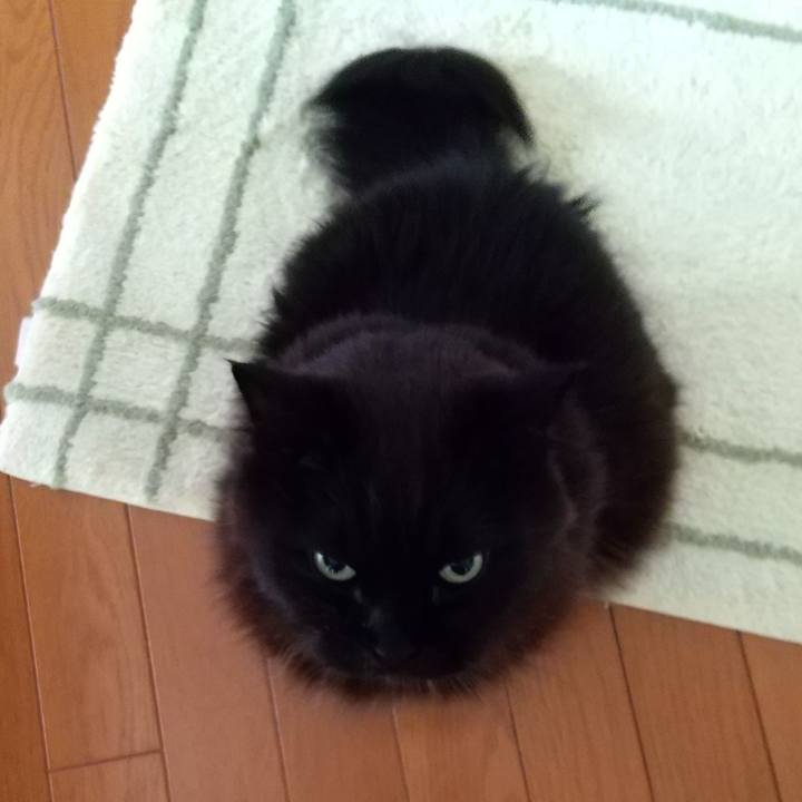 98bd15c8 f7b0 41d9 8c5e 6af4b7a6e7ec 1615334800721