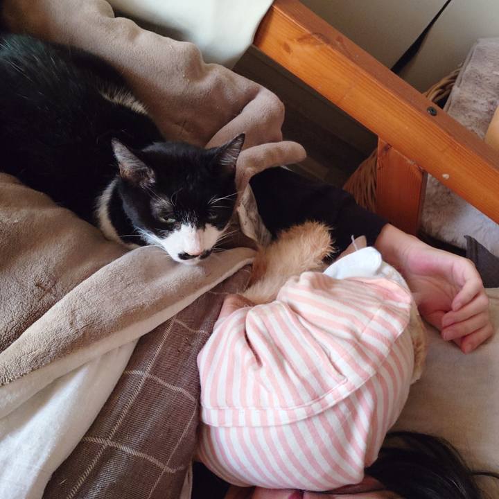 98bd5d83 72ff 433d b995 9bb44ac26fb2 1769931062337