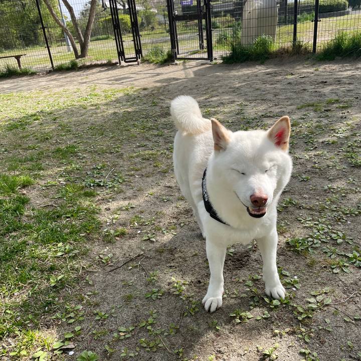 98bd8bc2 11cc 45c9 9345 b72b2f771ee4 1682119903030