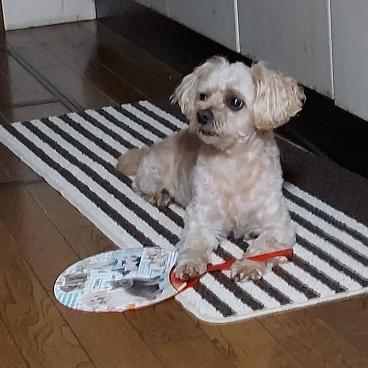 98bddcb6 f54d 45da 8d6e 268a526faca4 1657106510842