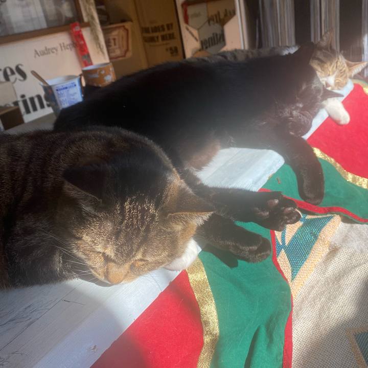 98bdfbd5 79a1 4203 828e 99f5419d11d0 1703300151421