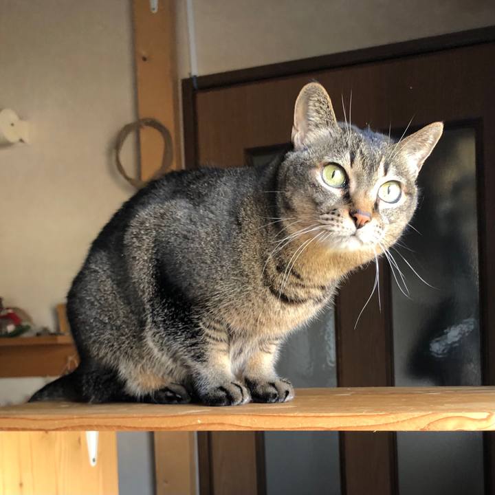 98be168e c39c 49c0 a84a fef30abb8538 1610667942336