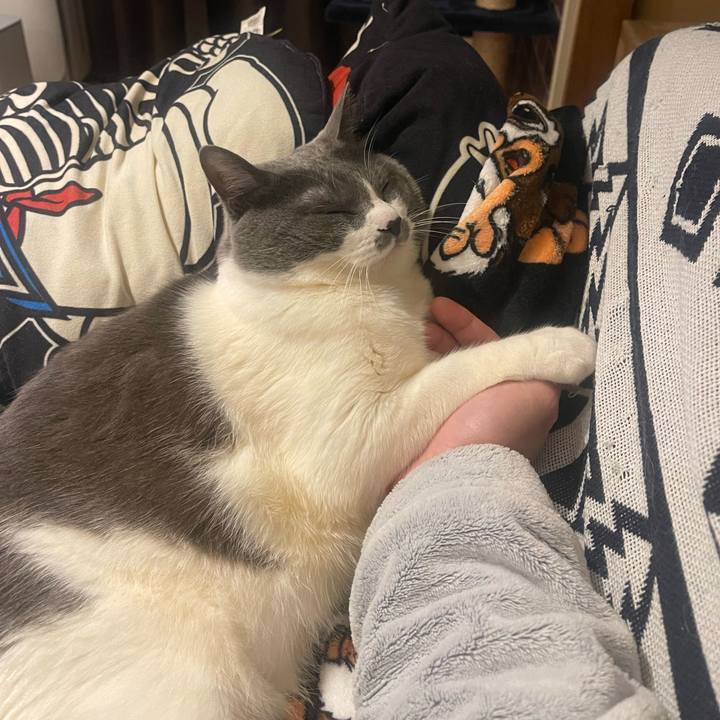 98be84f7 09f4 41c0 9e90 45a9ca9ad34f 1741869431154