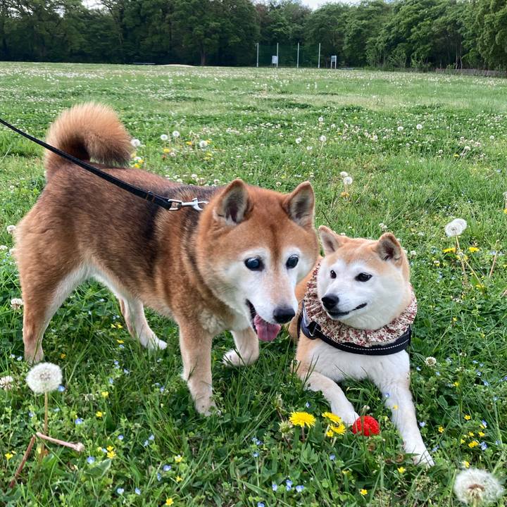 98be90cf 6b11 470e 945f c103e6fbf820 1713853410999