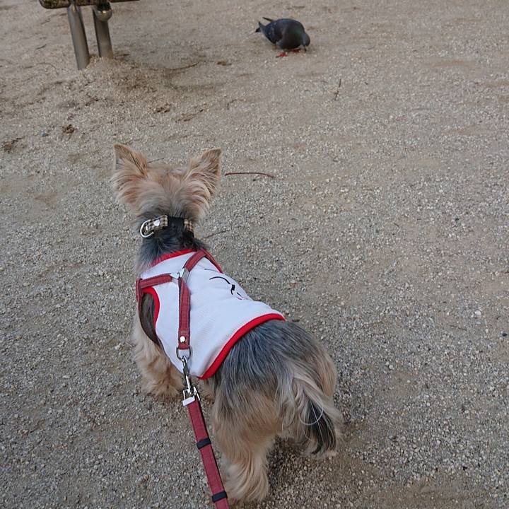 98bee723 161b 4d9d a6bd fa0e10d75c84 1559997595436