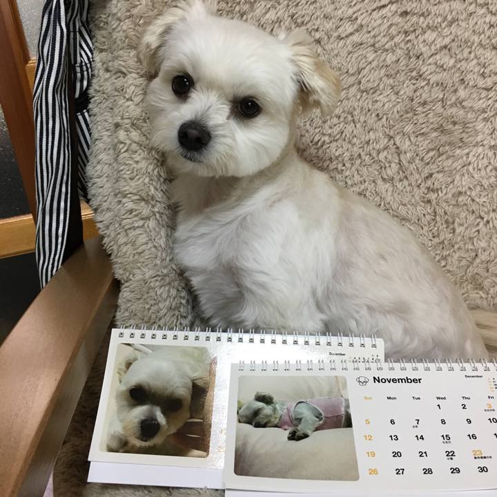 98bf3b71 e7f2 4f7e aea3 7b40b853d15e 1509520826469