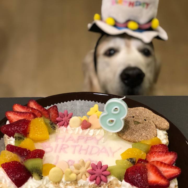 98bf648f 95d4 4e97 901f 66f0739a0d48 1540812905407