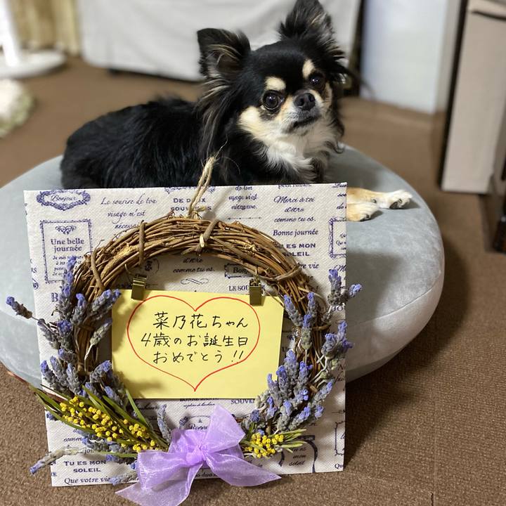 98bfb002 cd90 45ed ad13 c0110f78b841 1654890857352