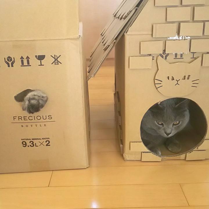 98bfc09c 7d03 4ece 8356 37af42f84efc 1597195708031