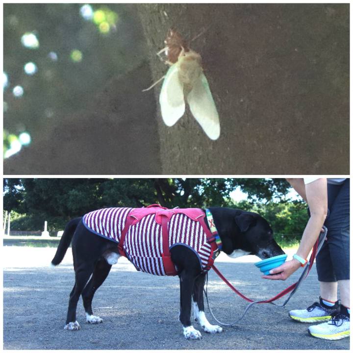 98c0040b 4322 4c29 9051 d0e296ba0a71 1690156465682