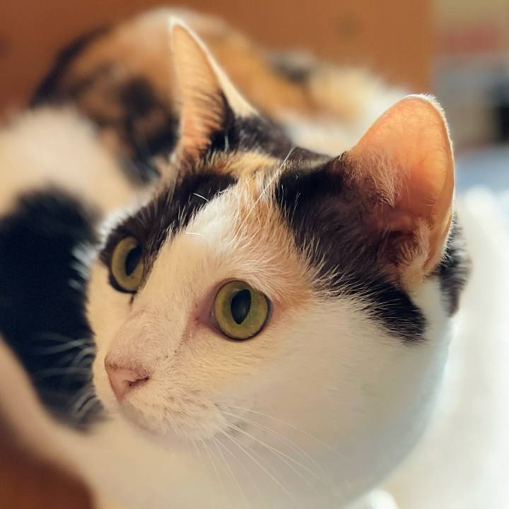 98c00462 d116 4fd6 bdf6 d76a94aa1d05 1634348546456