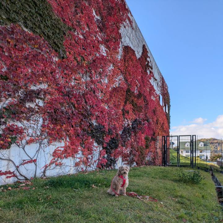 98c0544b 6058 4666 a523 8f3e191fac08 1729418312924