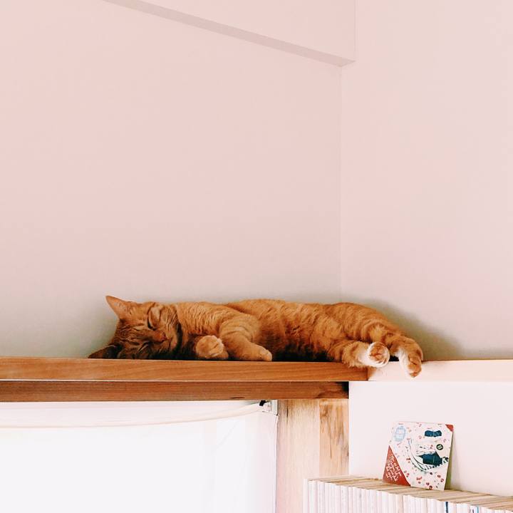 98c0a8d2 c957 4284 9c24 277f51fdc87c 1589692960117