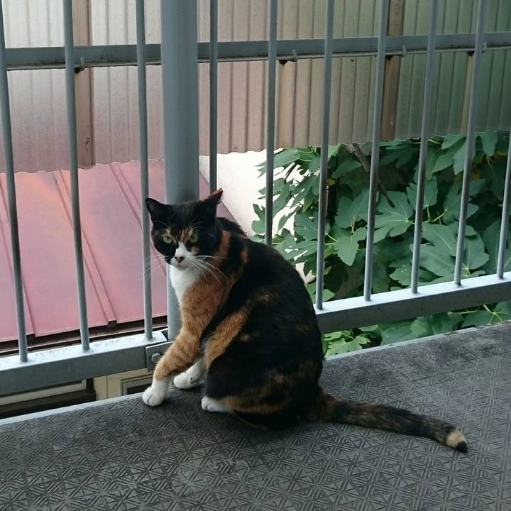 98c0b8af 5b8f 4997 a150 e0efdb26aad2 1509772593777