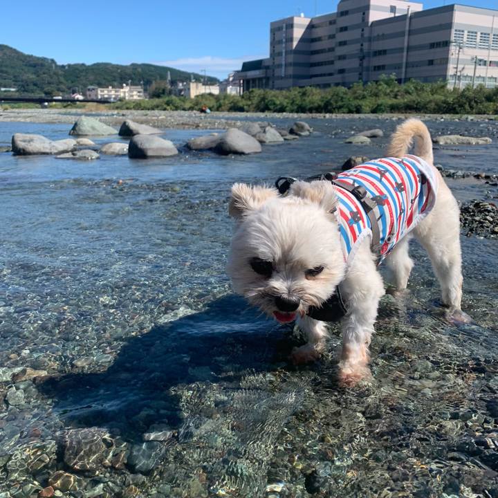 98c0fce2 8ba5 48e5 9a27 35dedfffe476 1602502554353