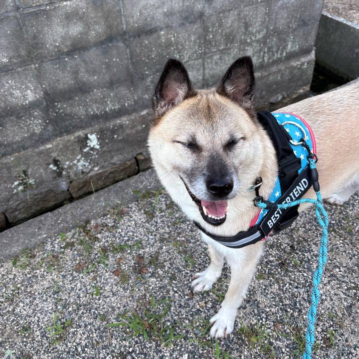 98c124d0 bd52 4b3f 9e83 5a2fce5e9fad 1755174286831