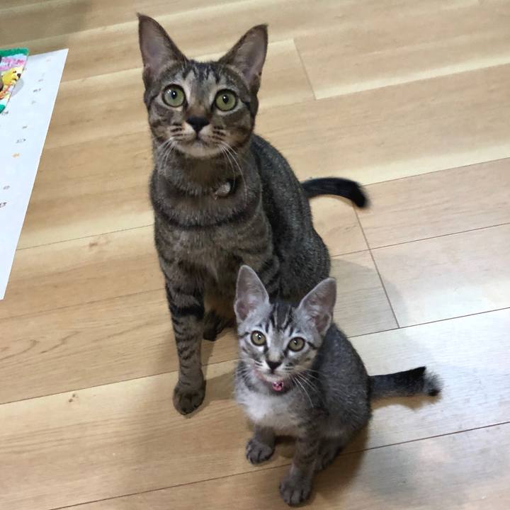 98c14ba5 2e87 45eb 9777 a7d25d30403f 1530183278368