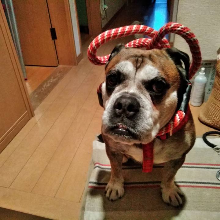 98c14e83 7daa 4cd2 bbb6 ec941e9d3bf0 1559133286294