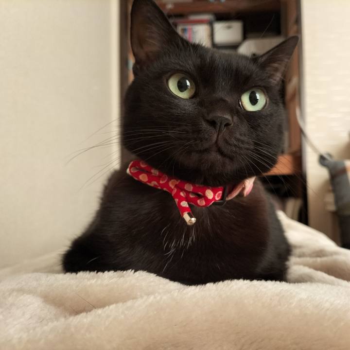 98c1677c e549 4e7c 8aea 8bcd8d69aaf6 1637970943036