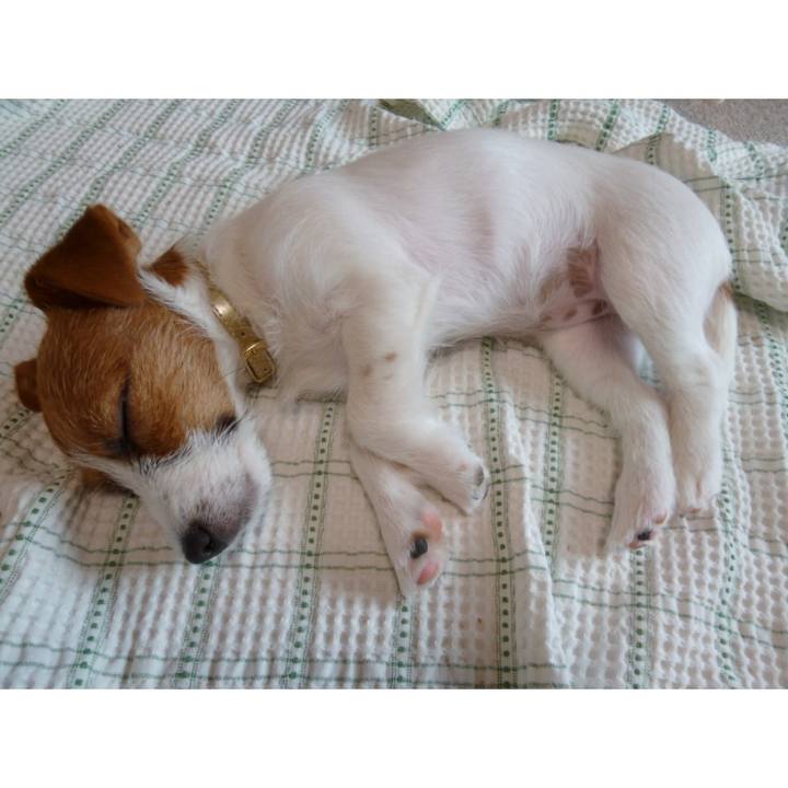 98c16c21 4ca3 4f93 8d76 4bead19d8cf4 1539345505053