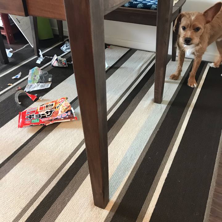 98c18679 4f74 497b af76 bbd6b8416617 1569479180744