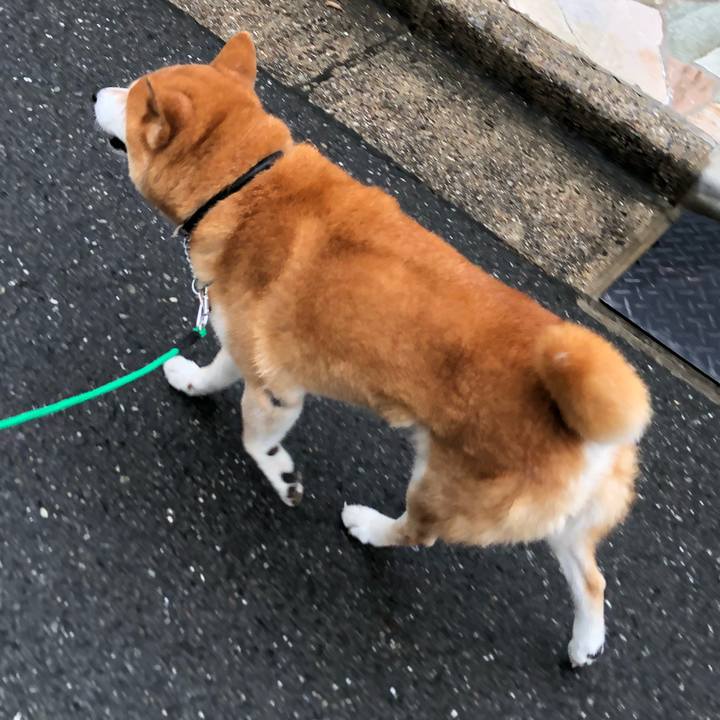 98c18bfa 90c0 4617 a317 54431b991fe2 1536489367903