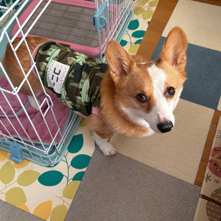 98c1c008 e72f 4aa2 afb2 0210975880f8 1771198272213