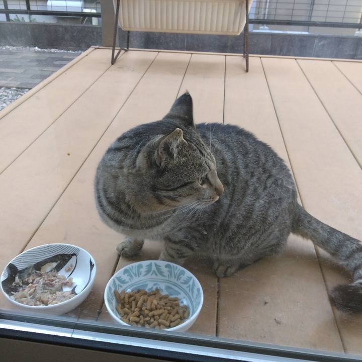 98c1d095 c1fd 4b30 b4f3 2ba7c81cfe72 1769906117145