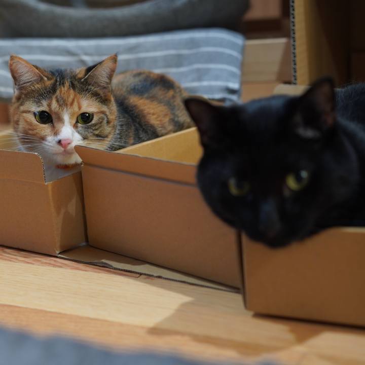 98c200a2 e486 4d69 bd16 831cc056aa34 1627652271310