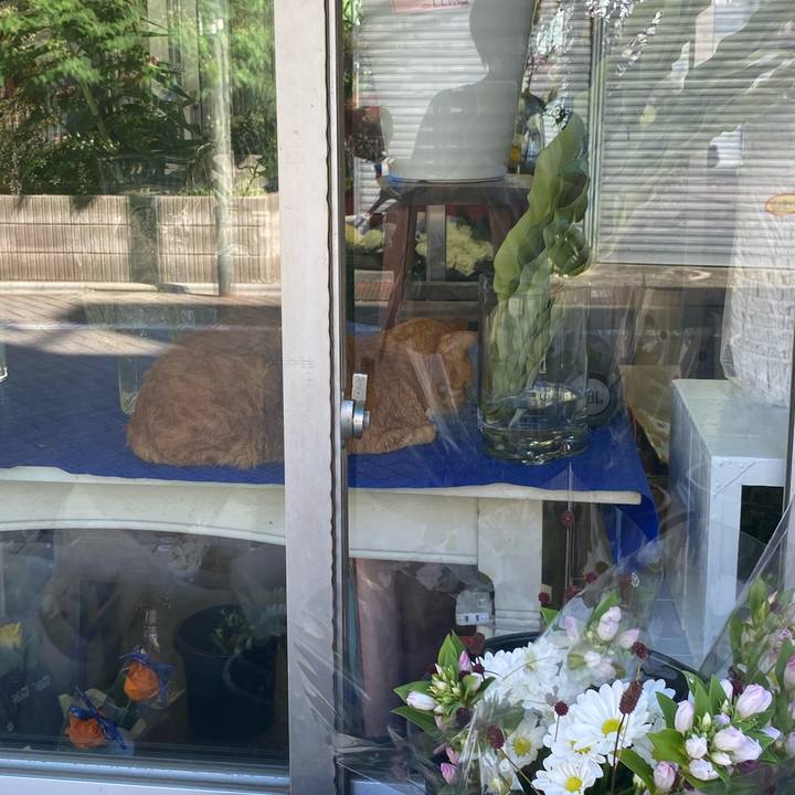 98c214c7 1aef 40e6 9e8b d693eeebc2a4 1666507260660