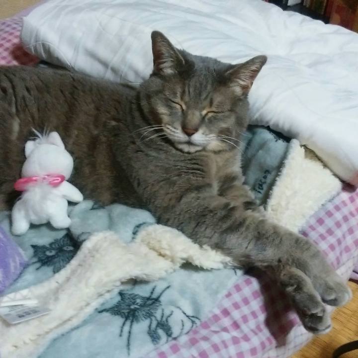 98c239df f27e 4358 b9ab 7c31808c43aa 1524400697322