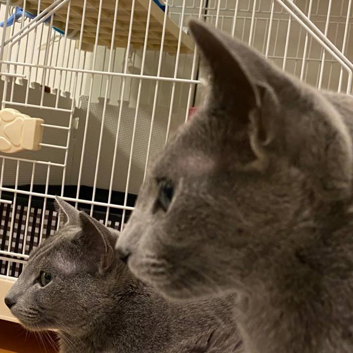 98c2803b 25a7 40b5 99be 092d7d2ede19 1639522873168